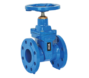 Gate valve: Resilient seated PN25