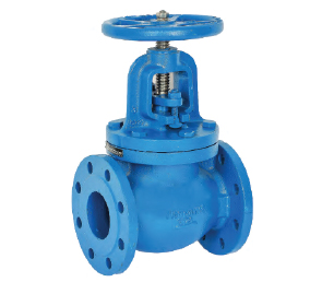 Globe valve PN-16