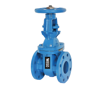 Gate valve: Rising stem PN16